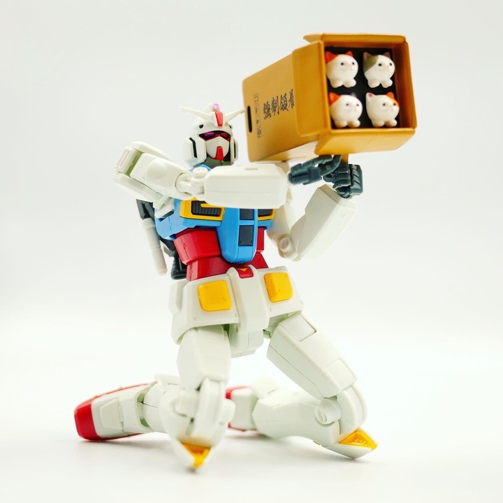 【真正的超越全球鋼彈】萬代 RX-78 G40 超越全球JOJO/瑜珈/娘機/武器/台場鋼彈 姿勢篇