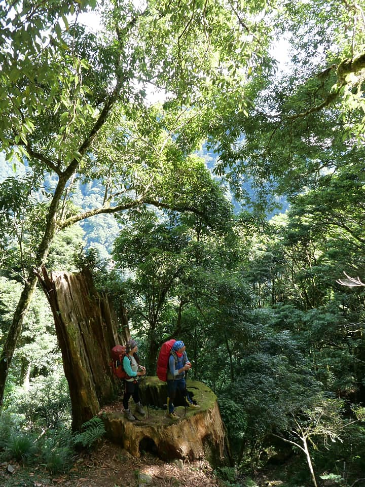 二日能高越嶺(屯原進天長出)