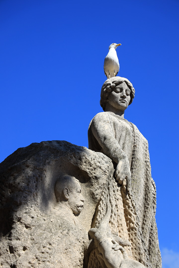 EOS R_南法薰衣草與蔚藍海視界@普羅旺斯 / 尼斯 / 坎城 / 摩納哥