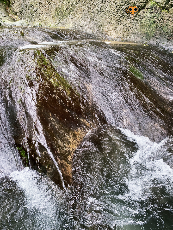 新北烏來入門溯溪|加九寮溪跳水、天然滑水道!