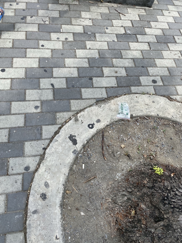 台灣最美的風景是人