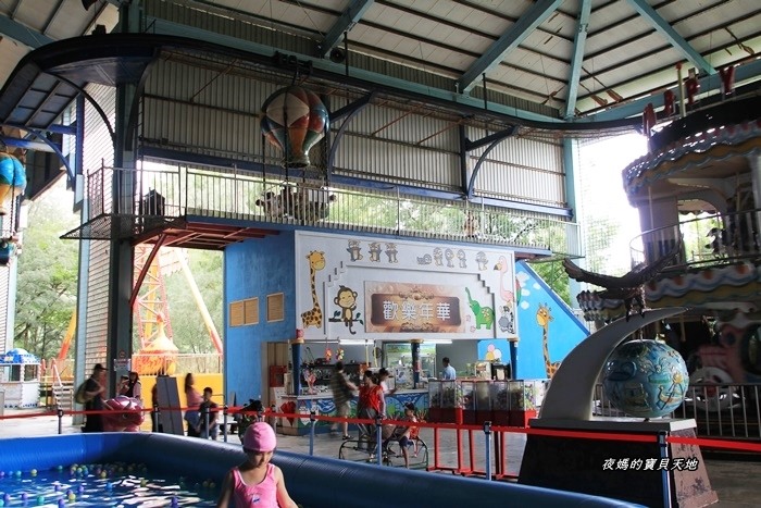 頑皮世界野生動物園。尋找隱身在草地裡的孔雀寶寶,還能近距離餵食水豚、迷你馬、羊駝......等小動物
