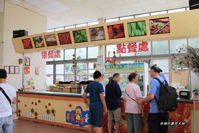 頑皮世界野生動物園。尋找隱身在草地裡的孔雀寶寶,還能近距離餵食水豚、迷你馬、羊駝......等小動物