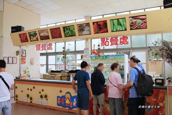 頑皮世界野生動物園。尋找隱身在草地裡的孔雀寶寶，還能近距離餵食水豚、迷你馬、羊駝......等小動物