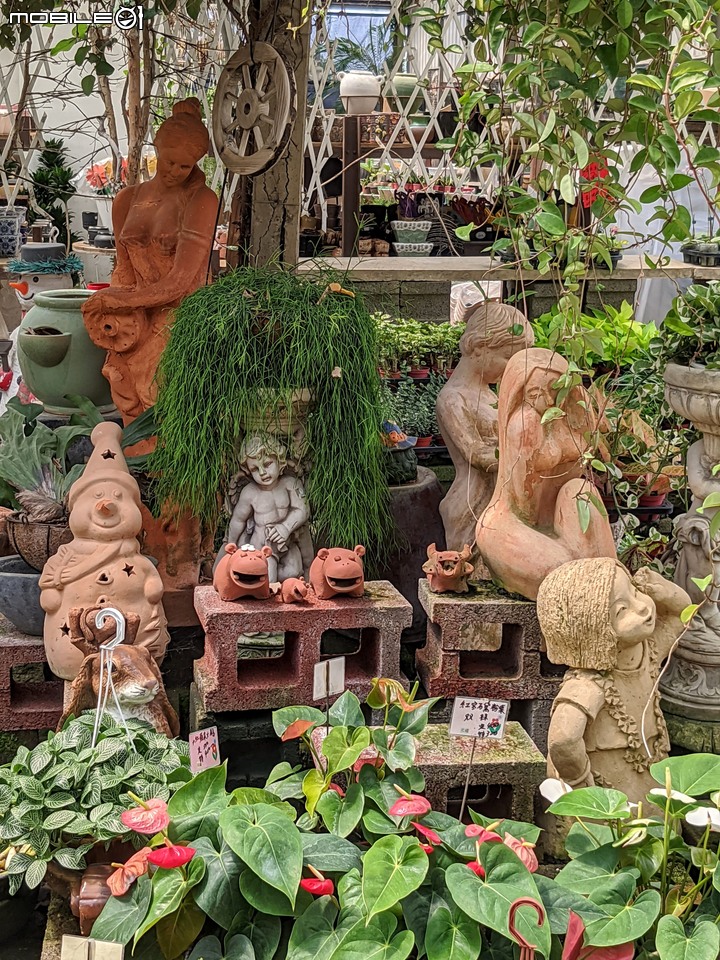 心花藝放 台南市歸仁七甲花卉園區 08/01