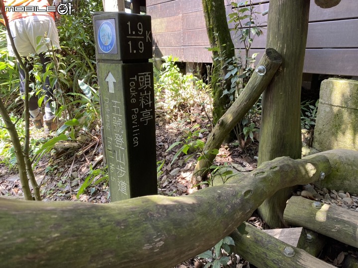 【小惡魔振興劵】台中後花園 稜線上的台中美景 登山健行 大坑4號步道