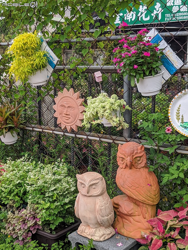 心花藝放 台南市歸仁七甲花卉園區 08/01