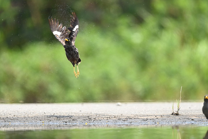 Nikon Z 24-200mm f/4-6.3加在Z6的開箱：車城龜山大橋及獅子鄉內獅國小前海邊銀河照。