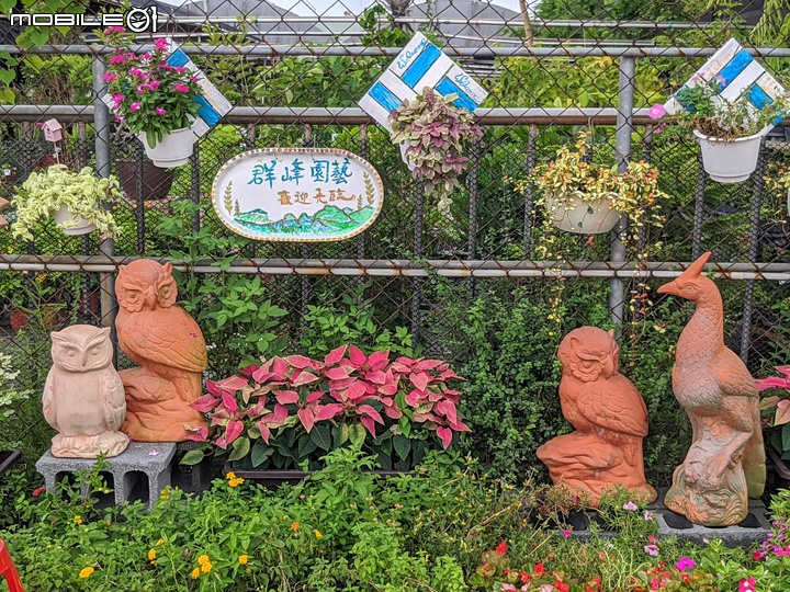 心花藝放 台南市歸仁七甲花卉園區 08/01