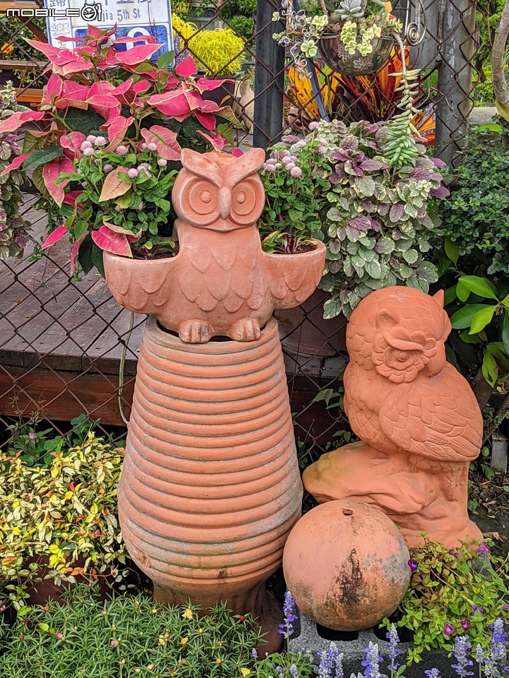 心花藝放 台南市歸仁七甲花卉園區 08/01
