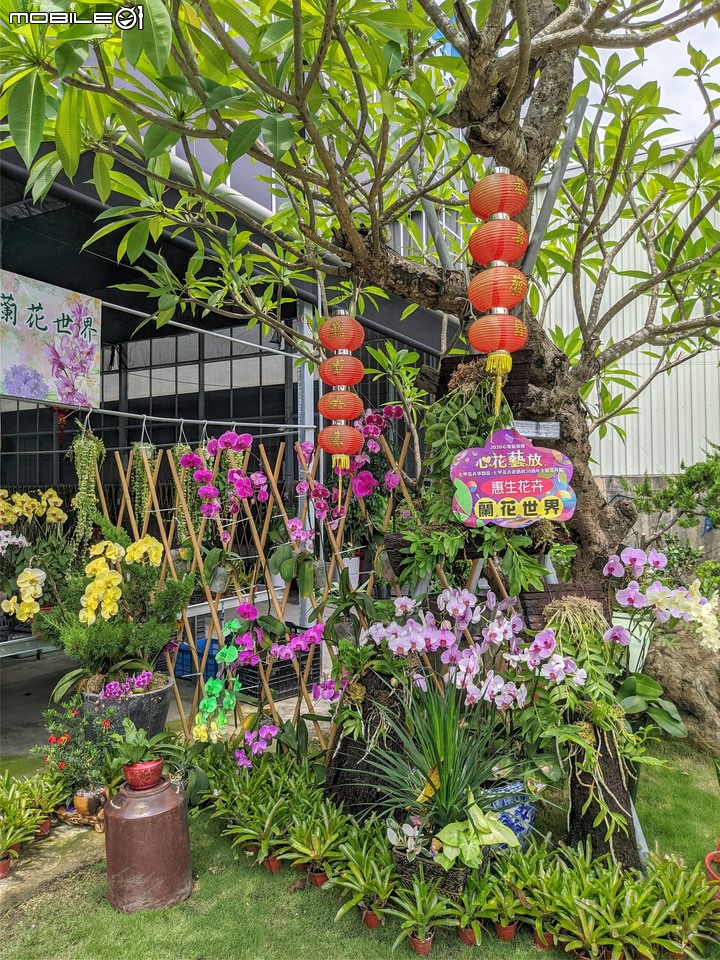 心花藝放 台南市歸仁七甲花卉園區 08/01