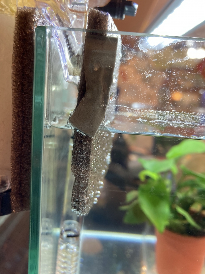 外掛式過濾器這樣放可以嗎？（鬥魚