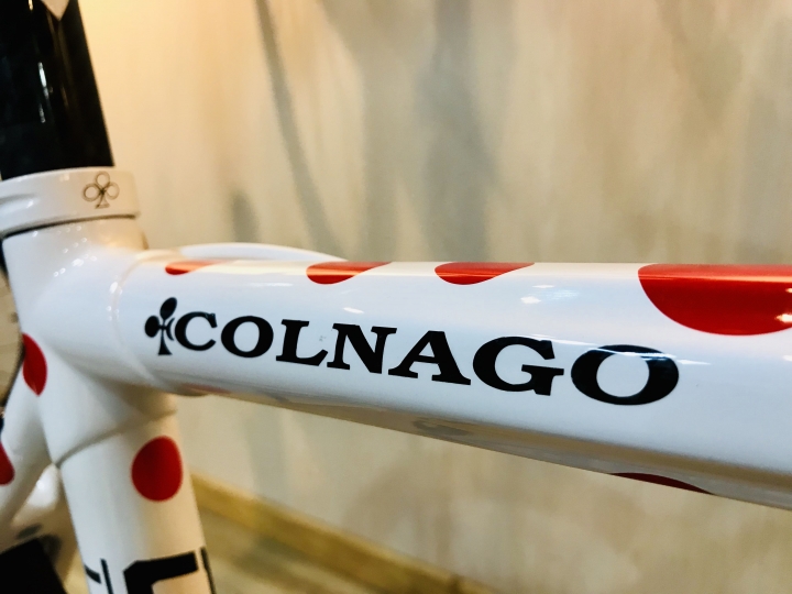 入手夢想中的單車 colnago C59 登山王
