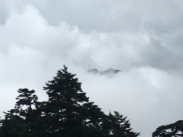 登走霧社能高越，看見金色奇萊(奇萊南華)