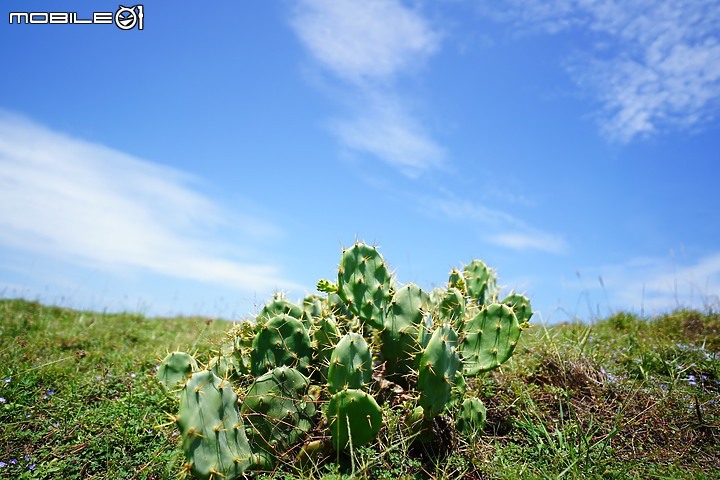 點我看大圖 澎湖 抱歉 我也來報復性旅遊了
