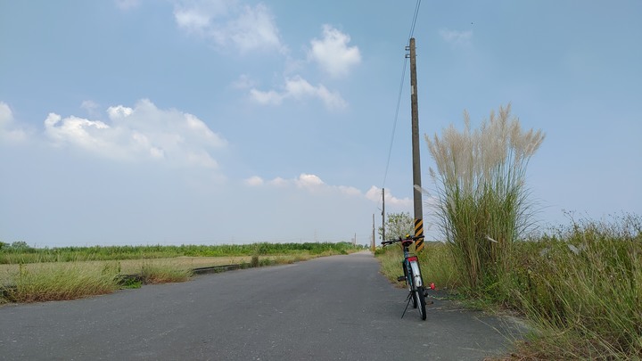 曾文溪善化段河堤風光