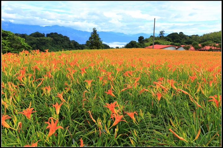 2020.08.21 花東四天三夜之旅