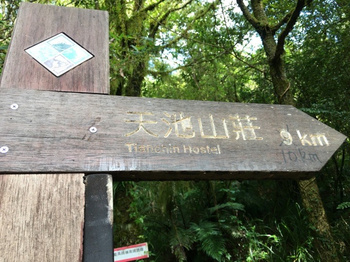 登走霧社能高越，看見金色奇萊(奇萊南華)