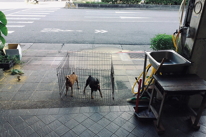 點我看大圖 【簡單開箱】Canon IVY REC 掛鉤相機