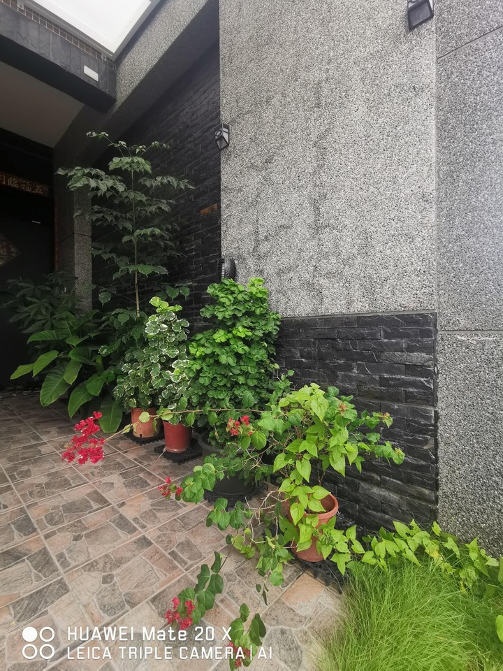 【開箱】不需裝潢，純佈置的透天小宅