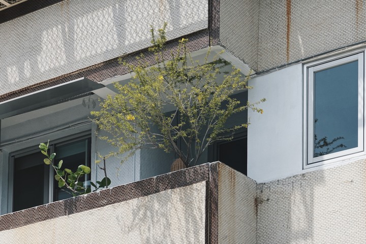 【開箱】台中40年老公寓改建,入住一年心得分享