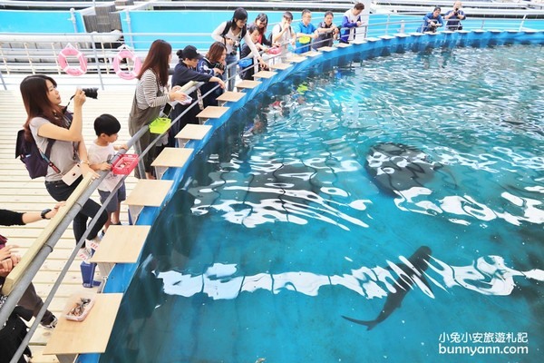 鯊魚餵食體驗!金車生技水產養殖中心「透明觀景台」近距離賞鯊、魟