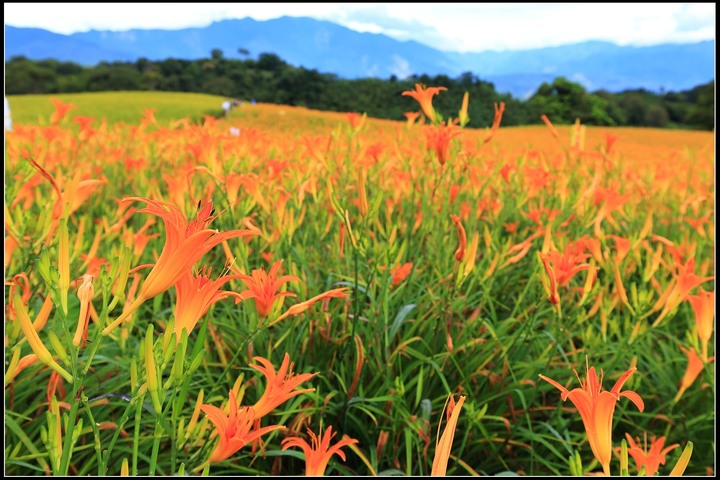 2020.08.21 花東四天三夜之旅