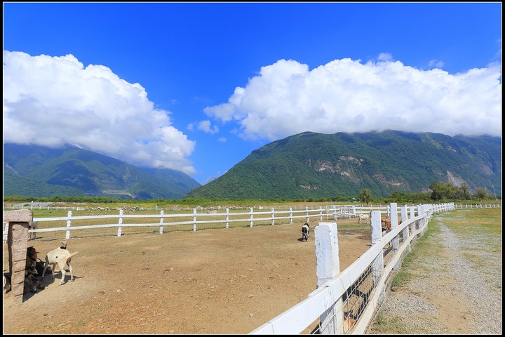2020.08.21 花東四天三夜之旅