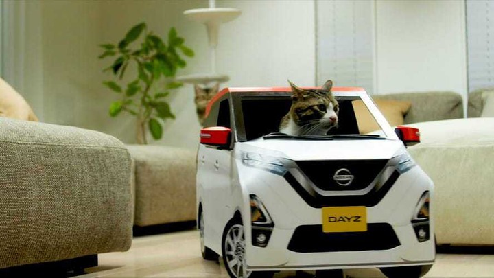 影／「這是朕的座駕！」Nissan推出超可愛貓星人專用Dayz模型車
