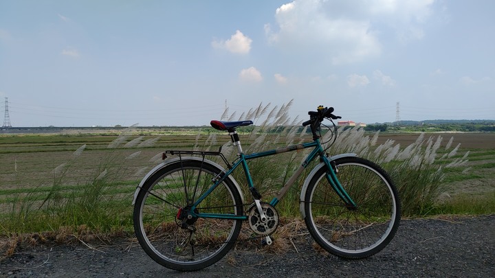 曾文溪善化段河堤風光