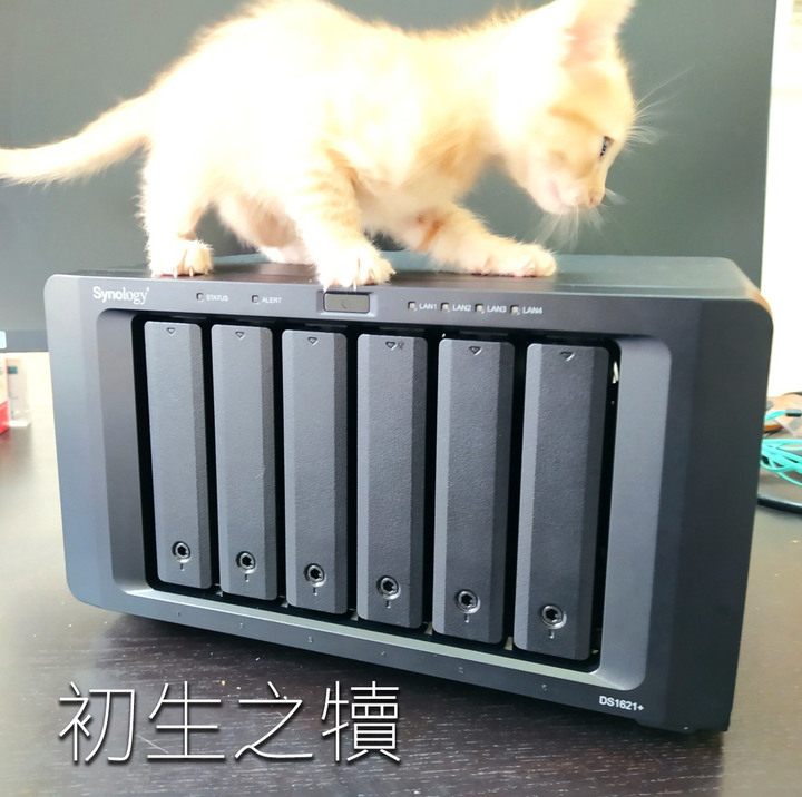 我要打十個 :-) Synology DS1621+ AMD CPU NAS 開箱分享