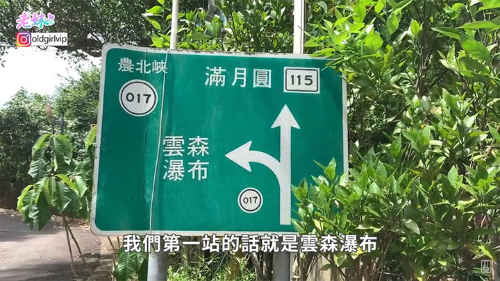 北部三峽一日遊~野溪雲森瀑布,IG打卡點必收|三峽人的美麗大自然袐境,高海拔給你芬多多多精