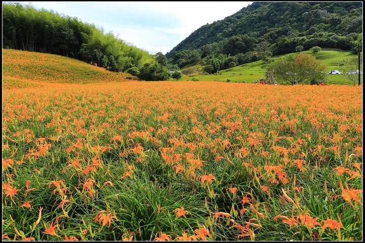 2020.08.21 花東四天三夜之旅