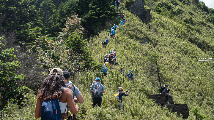 郡大山｜新手入門百岳｜無敵雲海｜百岳八秀