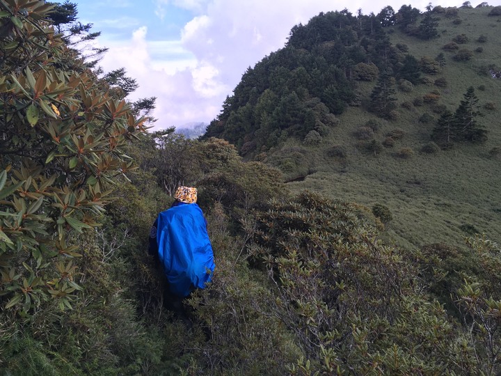 【巴巴山南稜】中央山脈主稜 |四日北一段