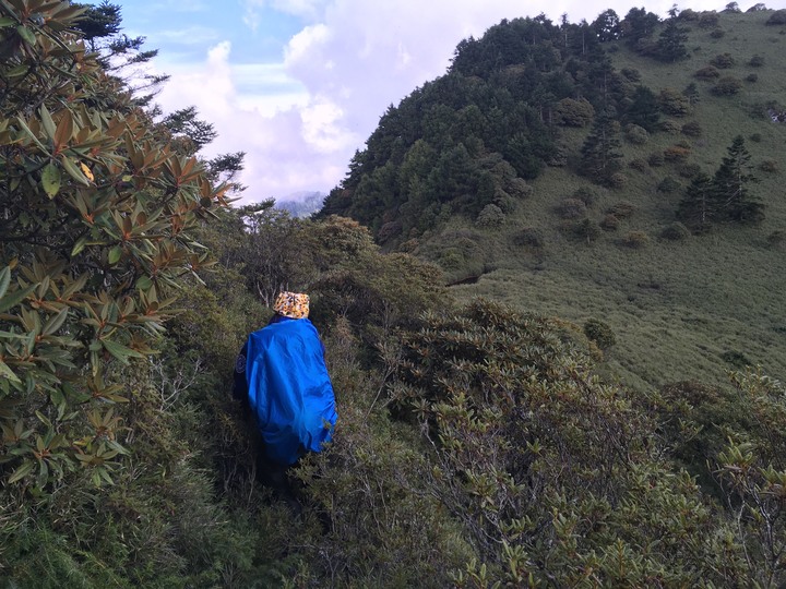 【巴巴山南稜】中央山脈主稜 ｜四日北一段