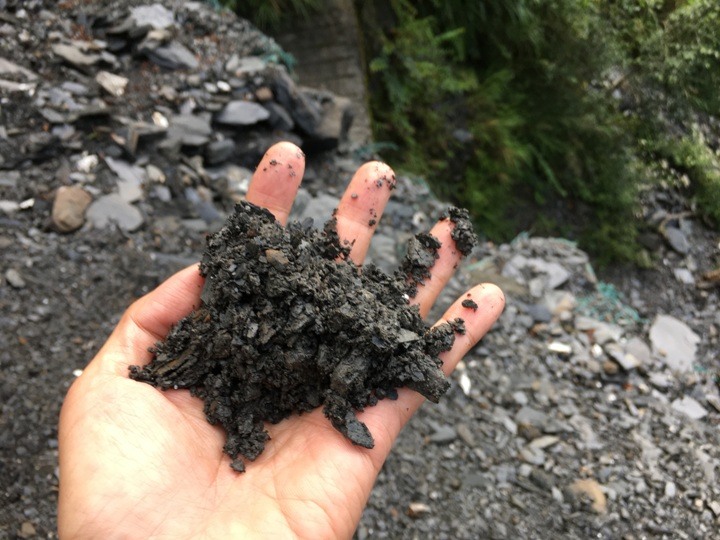 登走霧社能高越，看見金色奇萊(奇萊南華)
