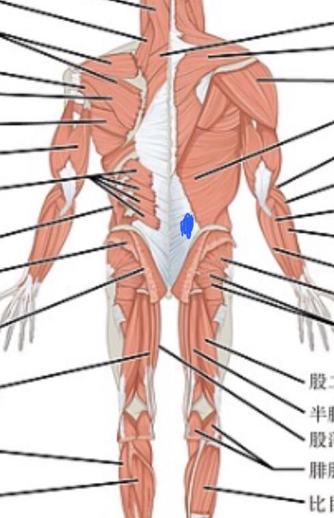 坐sofa會痛