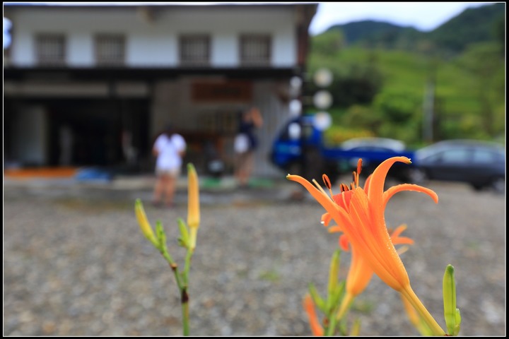 2020.08.21 花東四天三夜之旅