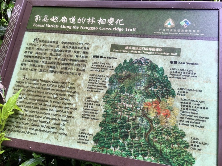 登走霧社能高越，看見金色奇萊(奇萊南華)