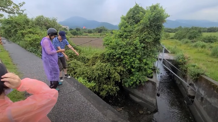 宜蘭淡海交界處小溝好多魚很適合初學者爽拉(花身/黑公/吳郭魚)