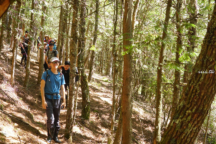 郡大山｜新手入門百岳｜無敵雲海｜百岳八秀