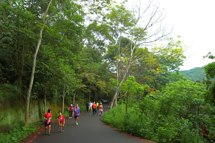 S步道｜彰化｜藤山步道｜親民人氣市場步道｜員林市