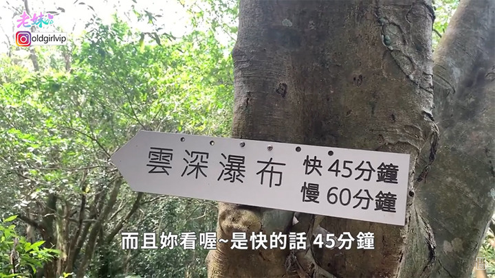 北部三峽一日遊~野溪雲森瀑布,IG打卡點必收|三峽人的美麗大自然袐境,高海拔給你芬多多多精