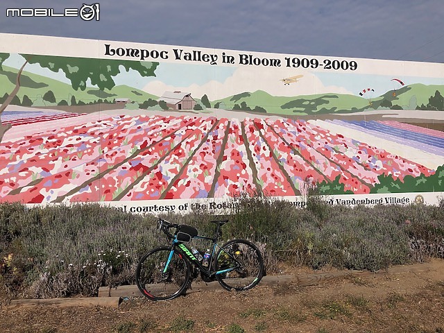 (2020秋) 🚴🇺🇸 南加州: 太平洋海岸1號公路