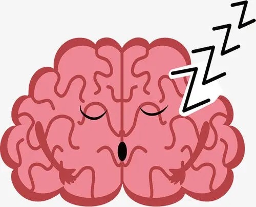 熬夜變傻已被證實?別讓最健康的良藥流失