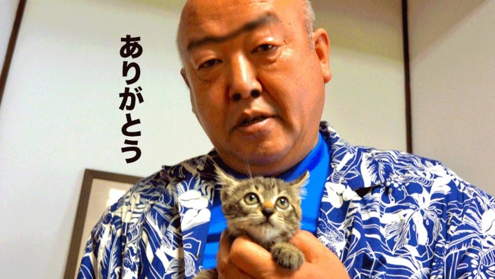 [有影片] 小虎斑遭裹粉難道是要油炸？