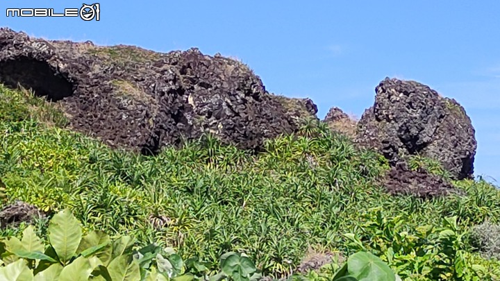 平價的千里馬