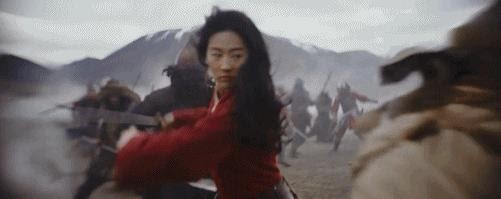 罵「花木蘭」的那麼多，誰有我專業