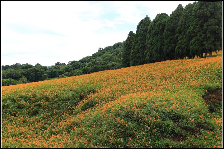 2020.08.21 花東四天三夜之旅
